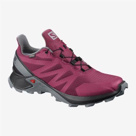 Salomon SUPERCROSS GTX W Womens Trail Running Shoes Rose UK ORSV